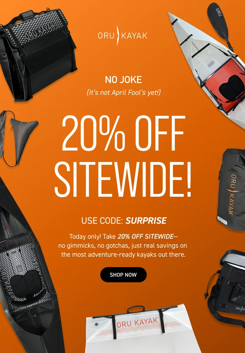 SURPRISE! Get 20% off your purchase - today only - with code SURPRISE