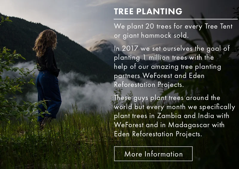 Tree Planting
