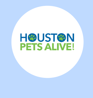 Houston Pets Alive!