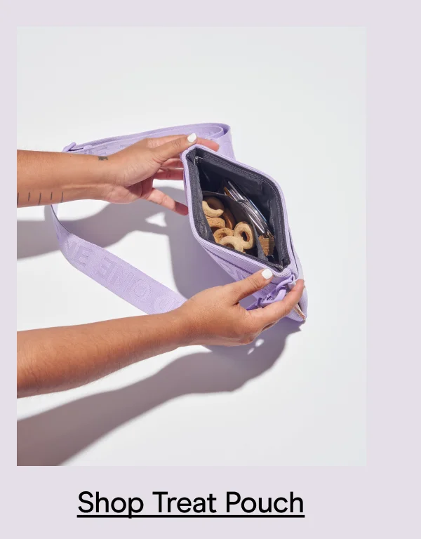 Shop Treat Pouch