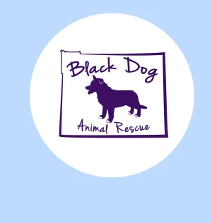 Black Dog Animal Rescue