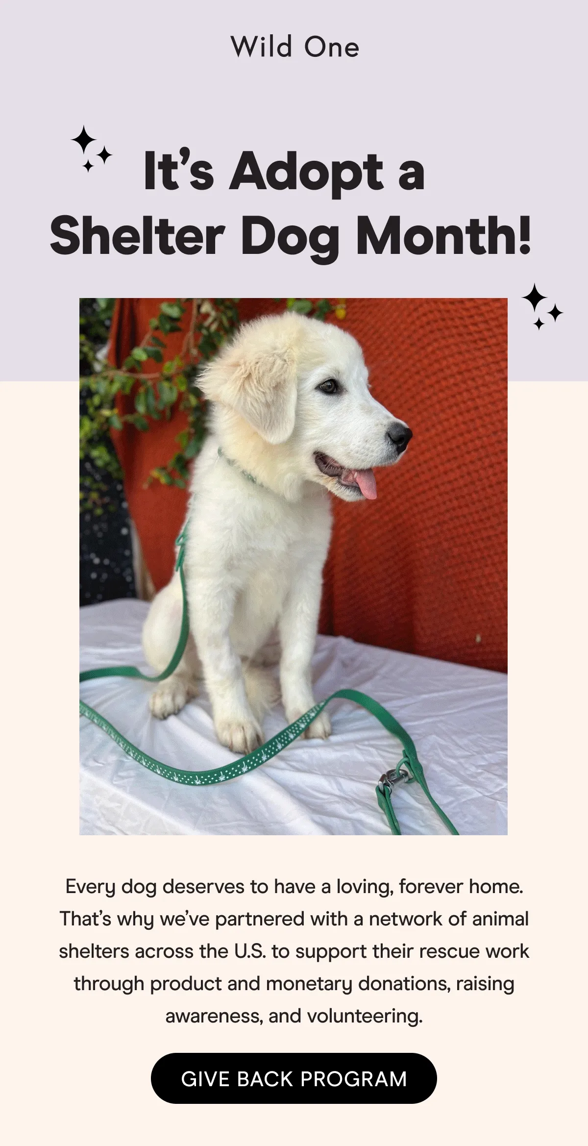 Every dog deserves to have a loving, forever home. That’s why our we’ve partnered with a network of animal shelters across the U.S. to support their rescue work through product and monetary donations, raising awareness, and volunteering.