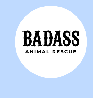 Badass Animal Rescue