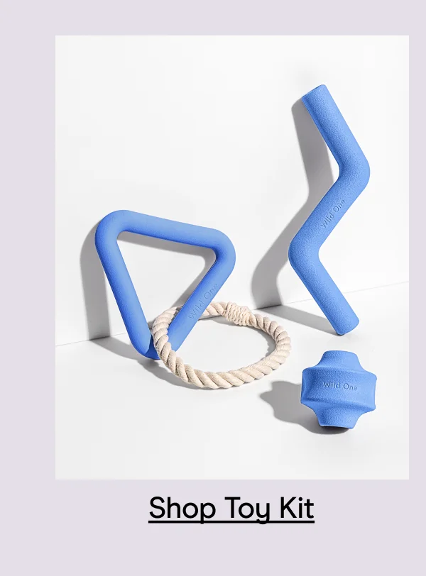 Shop Toy Kit