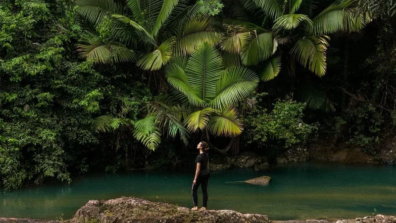 Image description: Hiking in El Yunque National Forest in Puerto Rico.