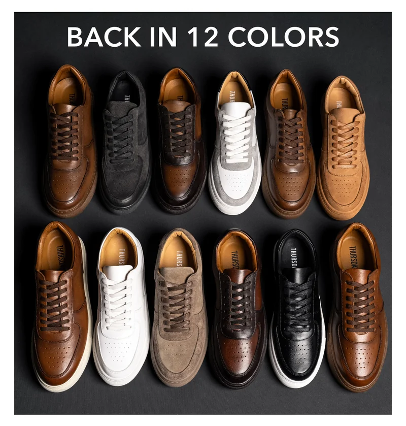 Back In 12 Colors