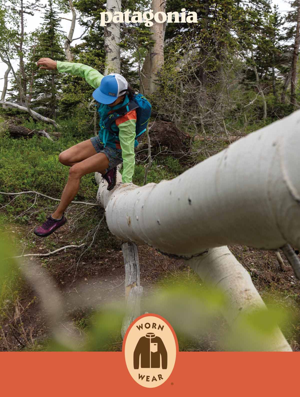 Patagonia. A person jumps over a fallen tree on a trail.