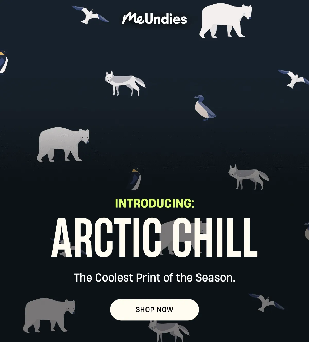 MeUndies | Introducing Arctic Chill | Shop Now