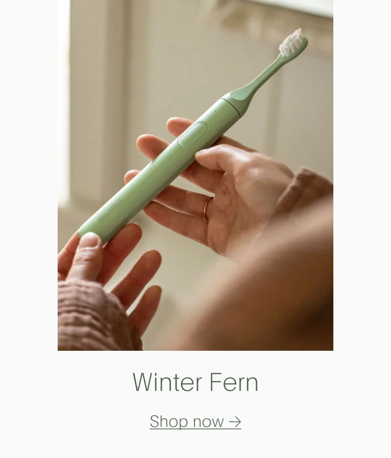 Winter Fern