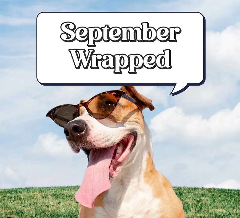 September Wrapped