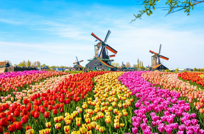 AMSTERDAM, NETHERLANDS – Click to View Cruises & Book Now