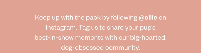 Keep up with the pack by following @myollie on Facebook and Instagram. Tag #myollie to share your pup’s best-in-show moments with our big-hearted, dog-obsessed community. Follow us.