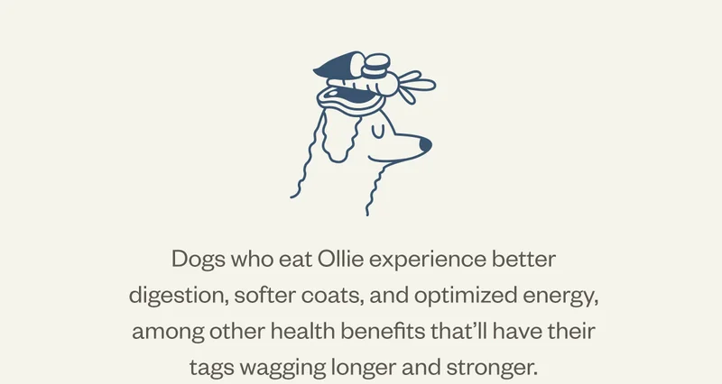 Dogs who eat Ollie experience better digestion, softer coats, and optimized energy, among other health benefits that’ll have their tags wagging longer and stronger.