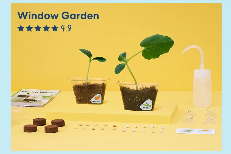 Window Garden