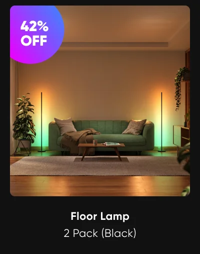 Floor Lamp 2 Pack