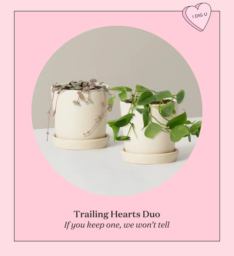 Trailing Hearts Duo
