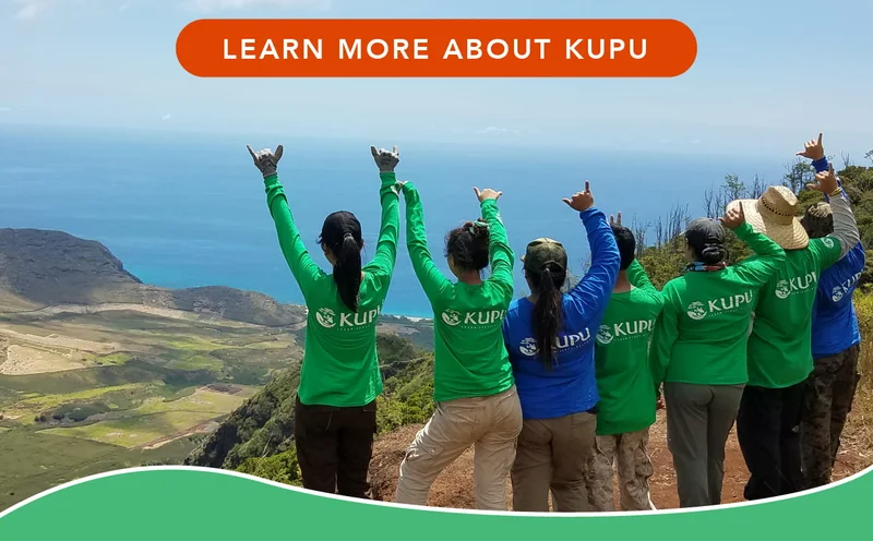 Learn more about Kupu