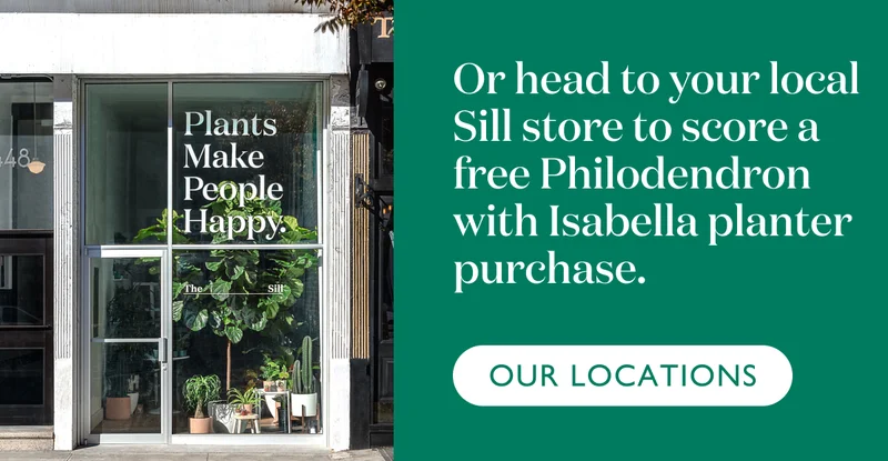Or head to your local Sill store to score a free Philodendron with Isabella planter purchase.