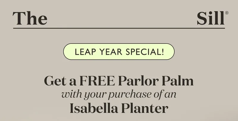 Get a FREE Parlor Palm with your purchase of an Isabella Planter!