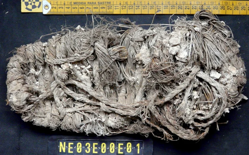 A shoe found in a vulture’s nest