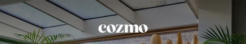 Cozmo