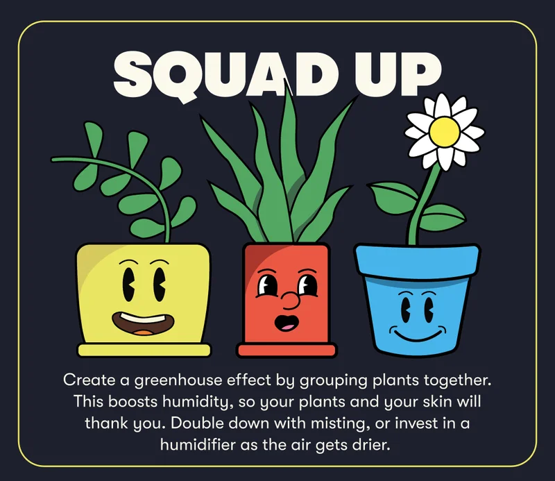 Squad Up: Create a greenhouse effect by grouping plants together. This boosts humidity, so your plants and your skin will thank you. Double down with misting, or invest in a humidifier as the air gets drier.