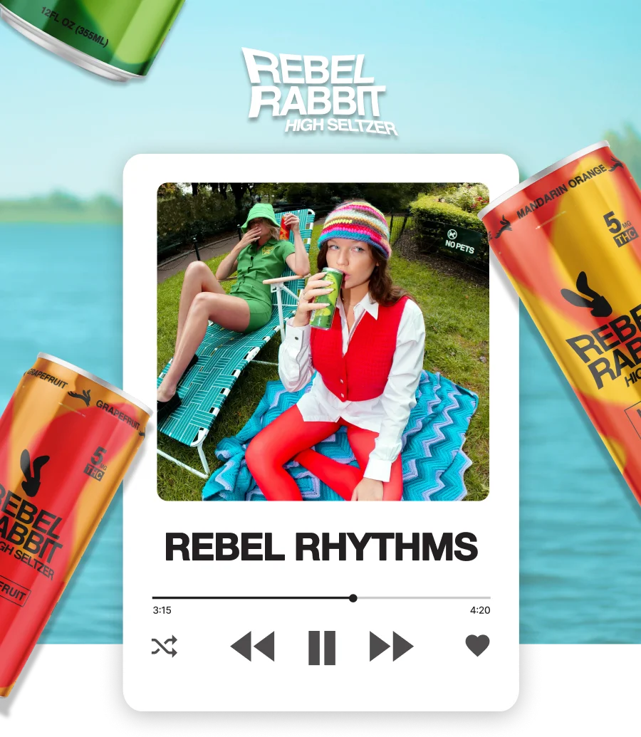 Rebel Rabbit - Rebel Rhythms: Summer Vibes Playlist