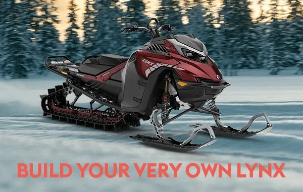 Lynx snowmobiles with customizations