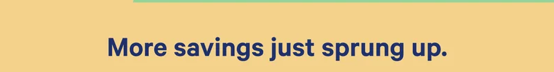 More savings just sprung up.