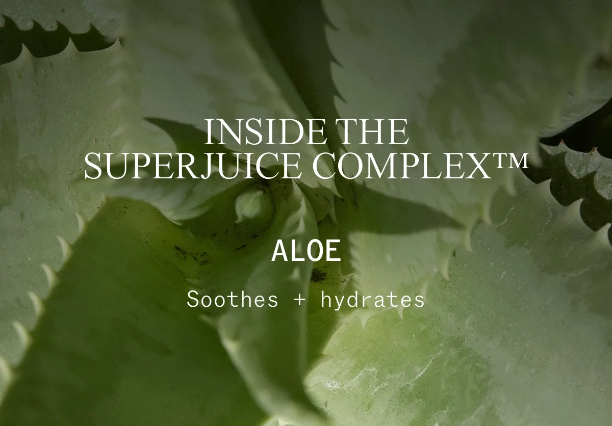 INSIDE THE SUPERJUICE COMPLEX