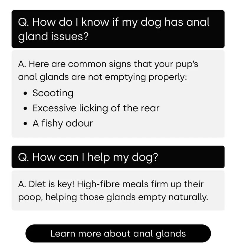 Learn more about anal glands
