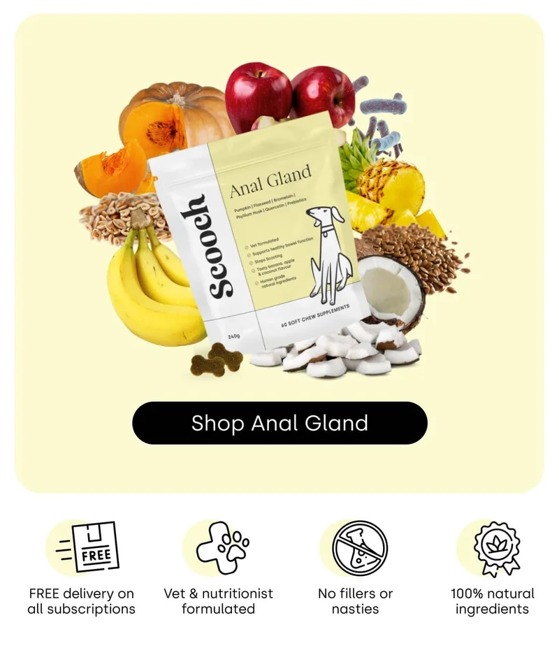 Shop Anal Gland