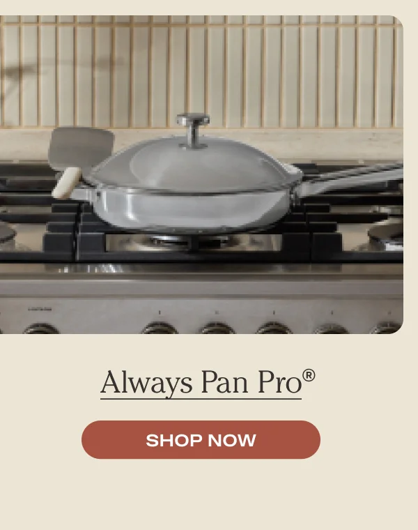 Always Pan Pro