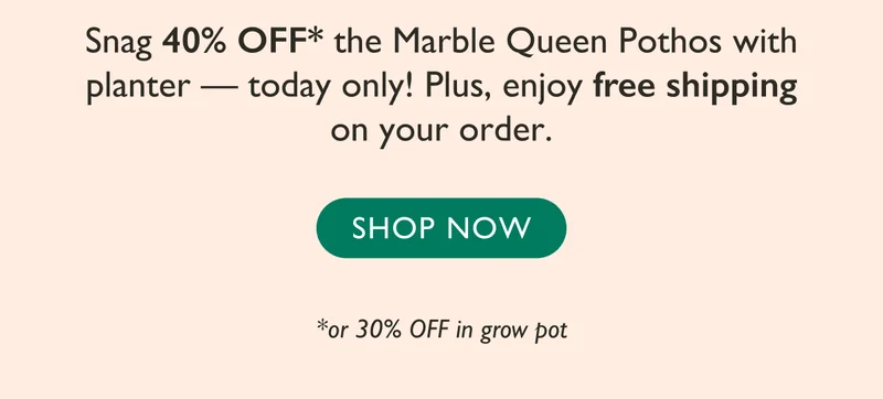 40% Off + Free Shipping