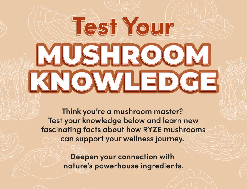 Test Your MUSHROOM KNOWLEDGE | Think you’re a mushroom master?  Test your knowledge below and learn new fascinating facts about how RYZE mushrooms can support your wellness journey.  | Deepen your connection with nature’s powerhouse ingredients.