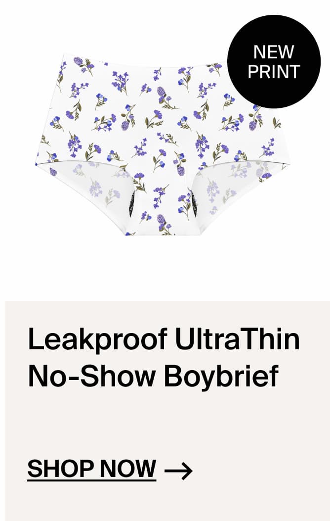 New Print - Leakproof Ultrathin BoyBrief