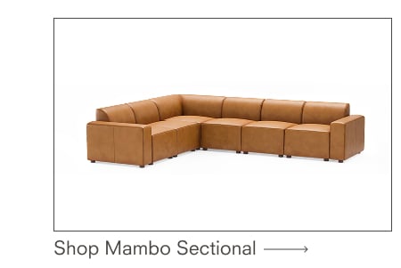 Shop Mambo Sectional