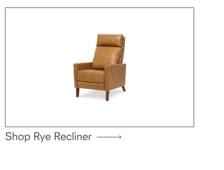 Shop Rye Recliner