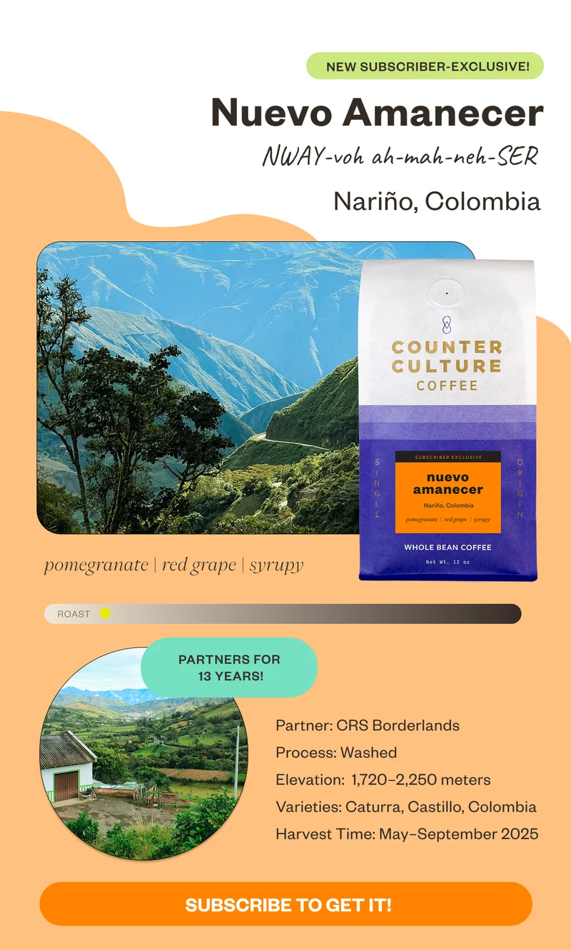 Subscriber Exclusive! Nuevo AmanecerNway-voh-ah-mah-neh-SER  Narino, Colombia pomegranate red grape syrupy  Partners for 13 years!rocess: Washed Elevation: 1,720-2,250 meters Varieties: Caturra, Castillo, Colombia Harvest Time: May - September 2025 Subscribe to get it!