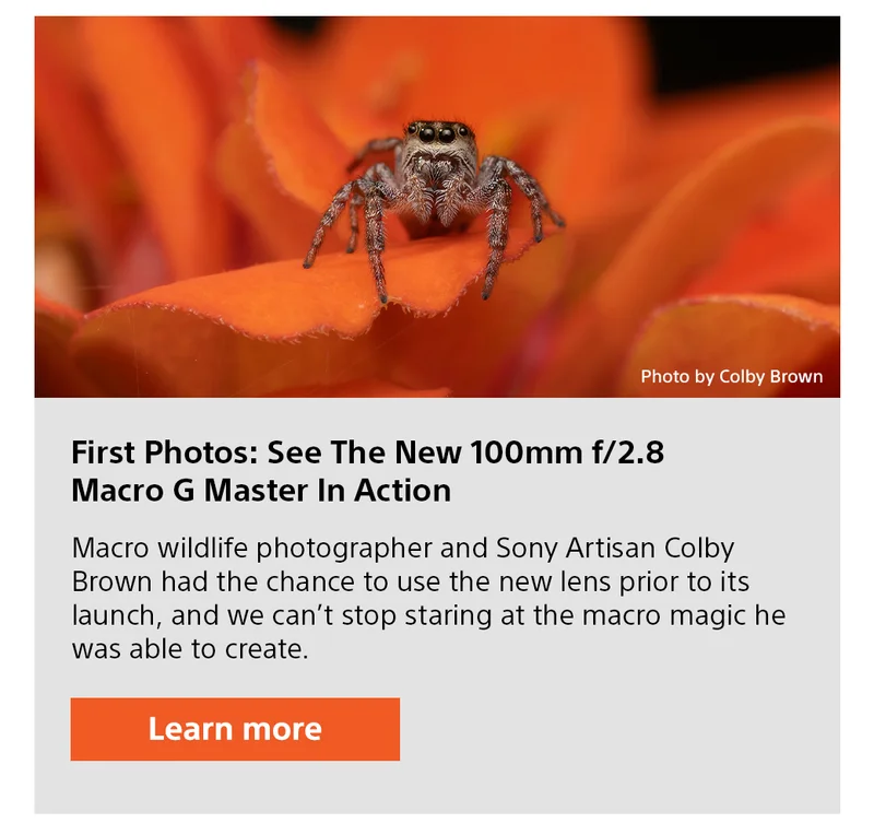 First Photos: See The New 100mm f/2.8 Macro G Master In Action Macro wildlife photographer and Sony Artisan Colby Brown had the chance to use the new lens prior to its launch, and we can’t stop staring at the macro magic he was able to create. Learn more