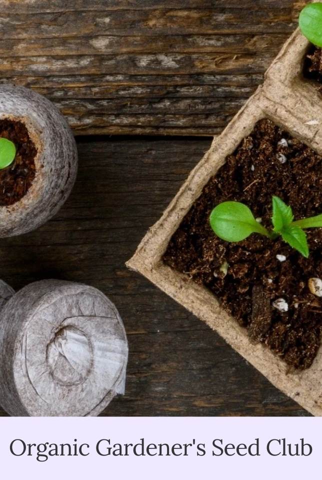 Urban Organic Gardener's Monthly Seed Club