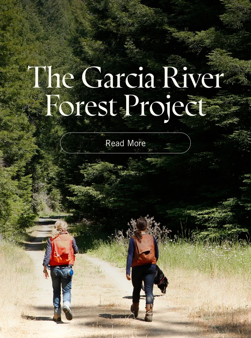 The Garcia River Forest Project. Read More.