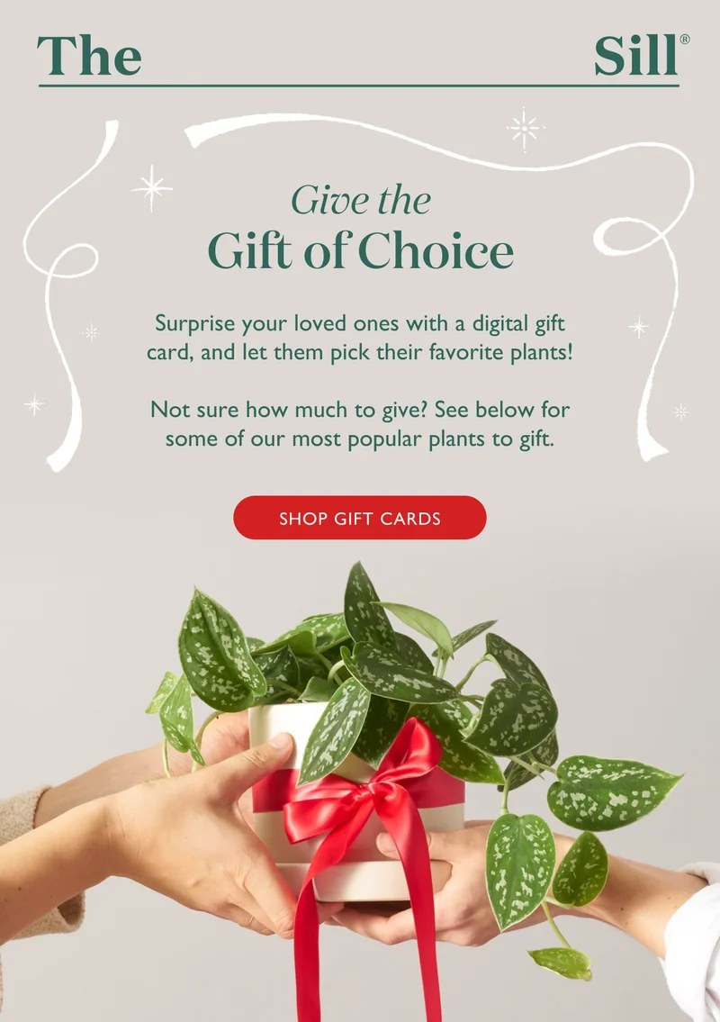 Surprise your loved ones with a digital gift card, and let them pick their favorite plants! Not sure how much to give? See below for some of our most popular plants to gift.