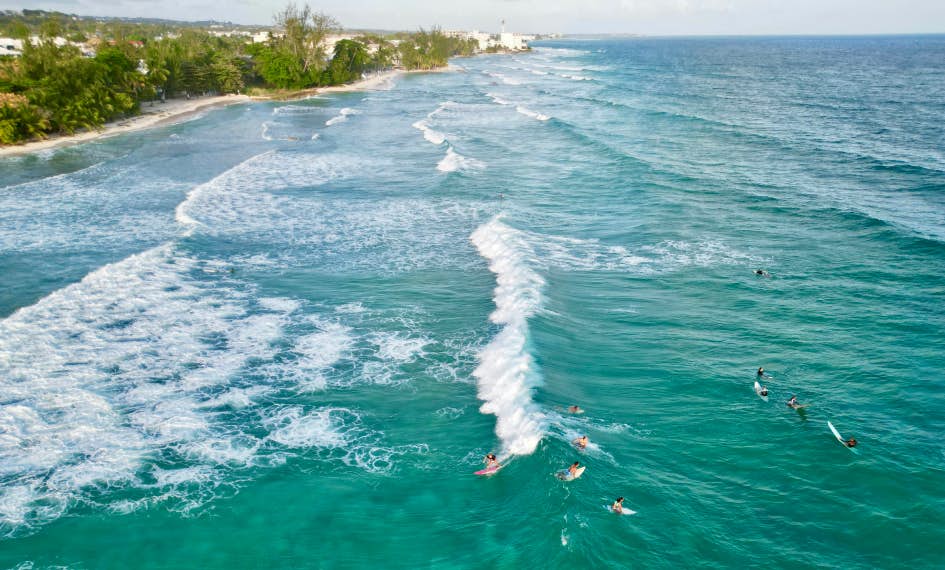 Surfing in Barbados