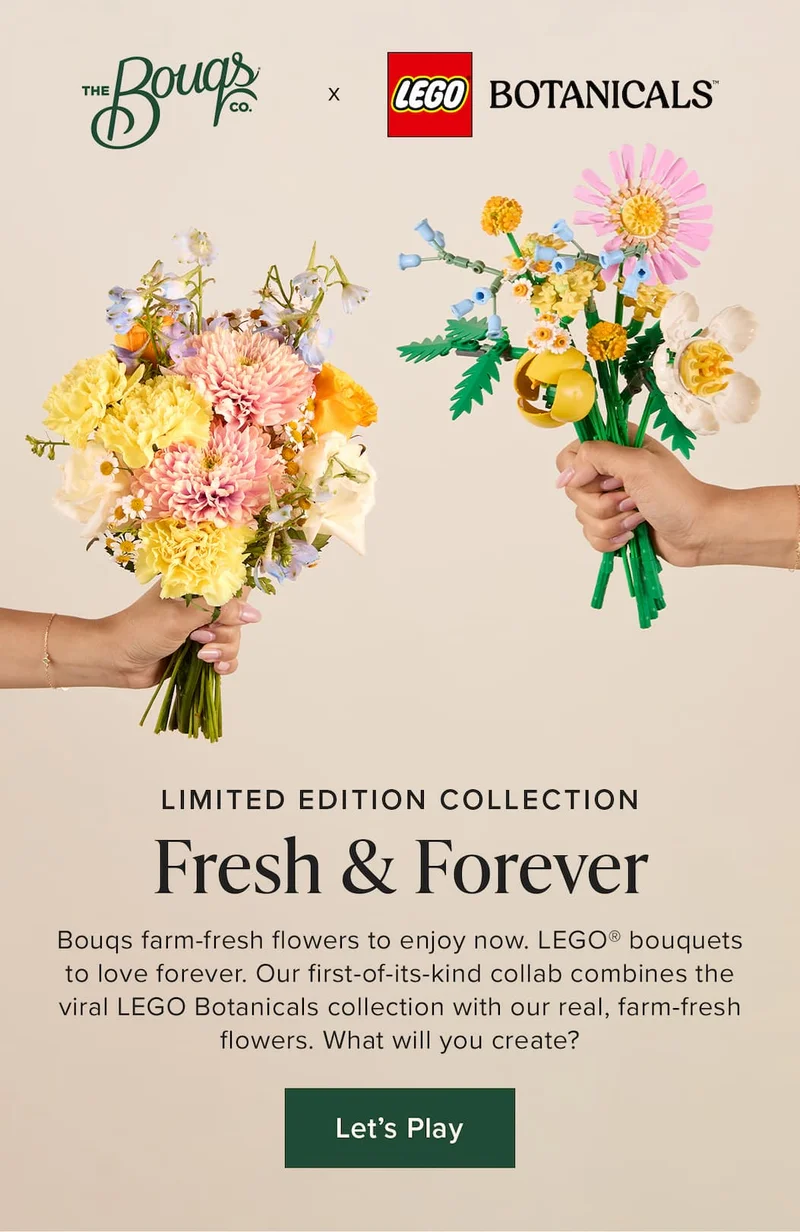 The Bouqs Co X LEGO® Limited Edition Collection: Fresh & Forever. Bouqs farm-fresh flowers to enjoy now. LEGO® bouquets to love forever. Our first-of-its-kind collab combines the viral LEGO Botanicals collection with our real, farm-fresh flowers. What will you create? Let's Play