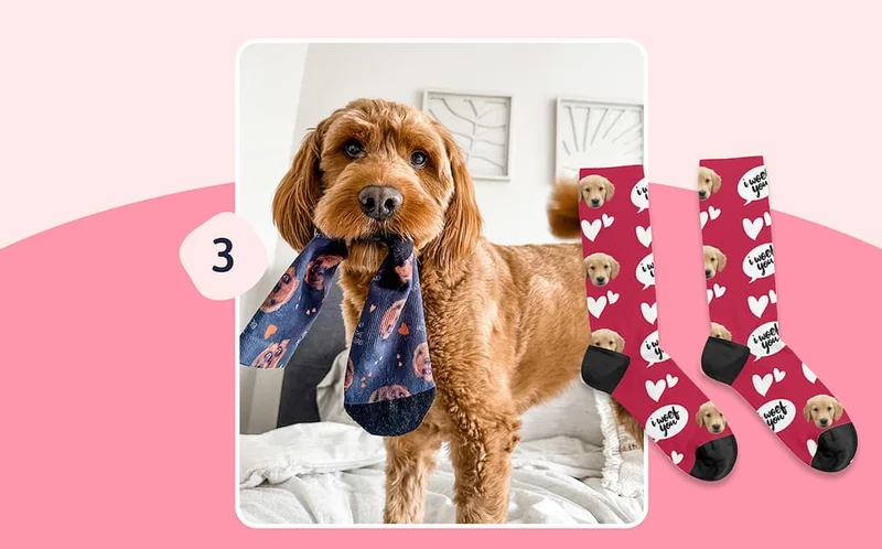 Pet face socks mock ups and customer photo
