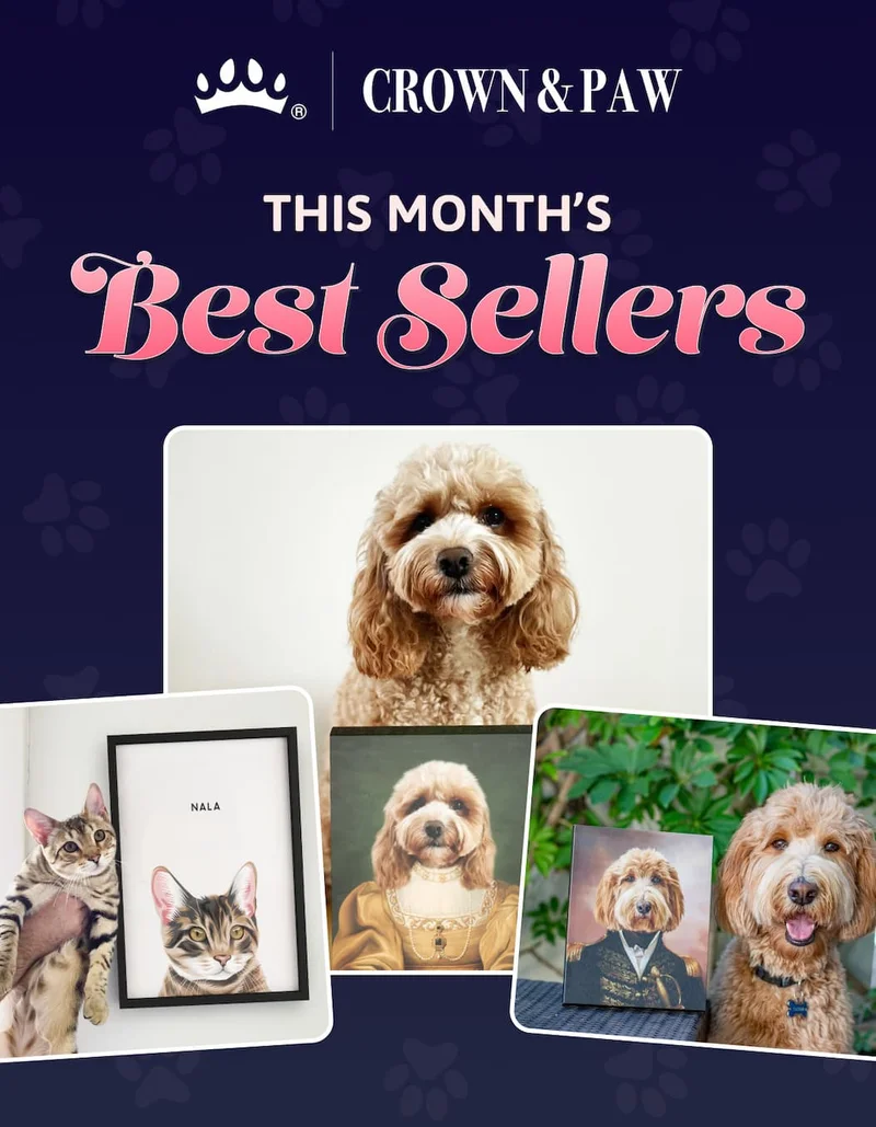 This month's best sellers