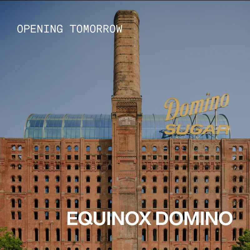 Equinox Domino: Shape Your Existence