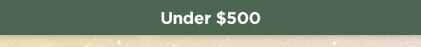 Under $500