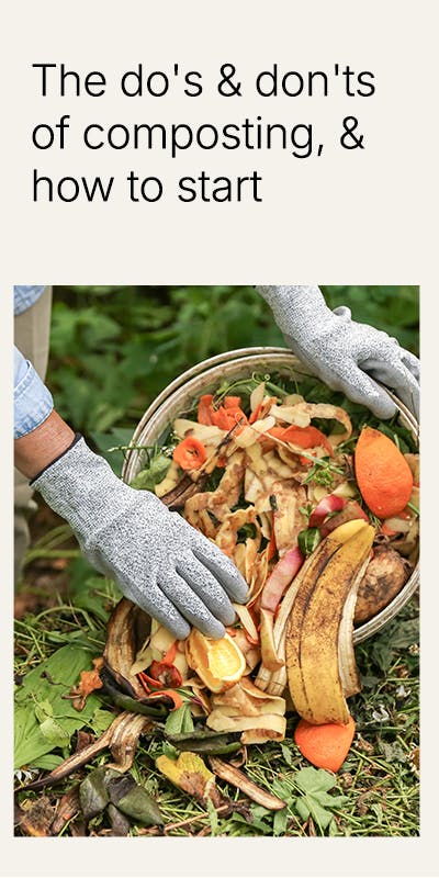 Composting - Top Banner